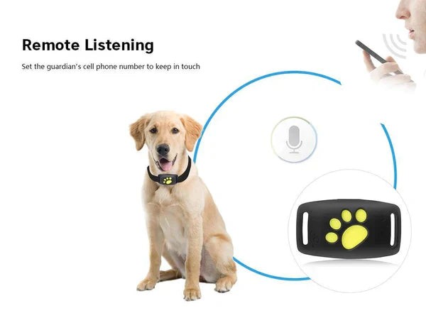🐾 Dispositivo Localizador GPS para Gatos: s=Seguimiento de Mascotas en Tiempo real sin Cuotas Mensuales